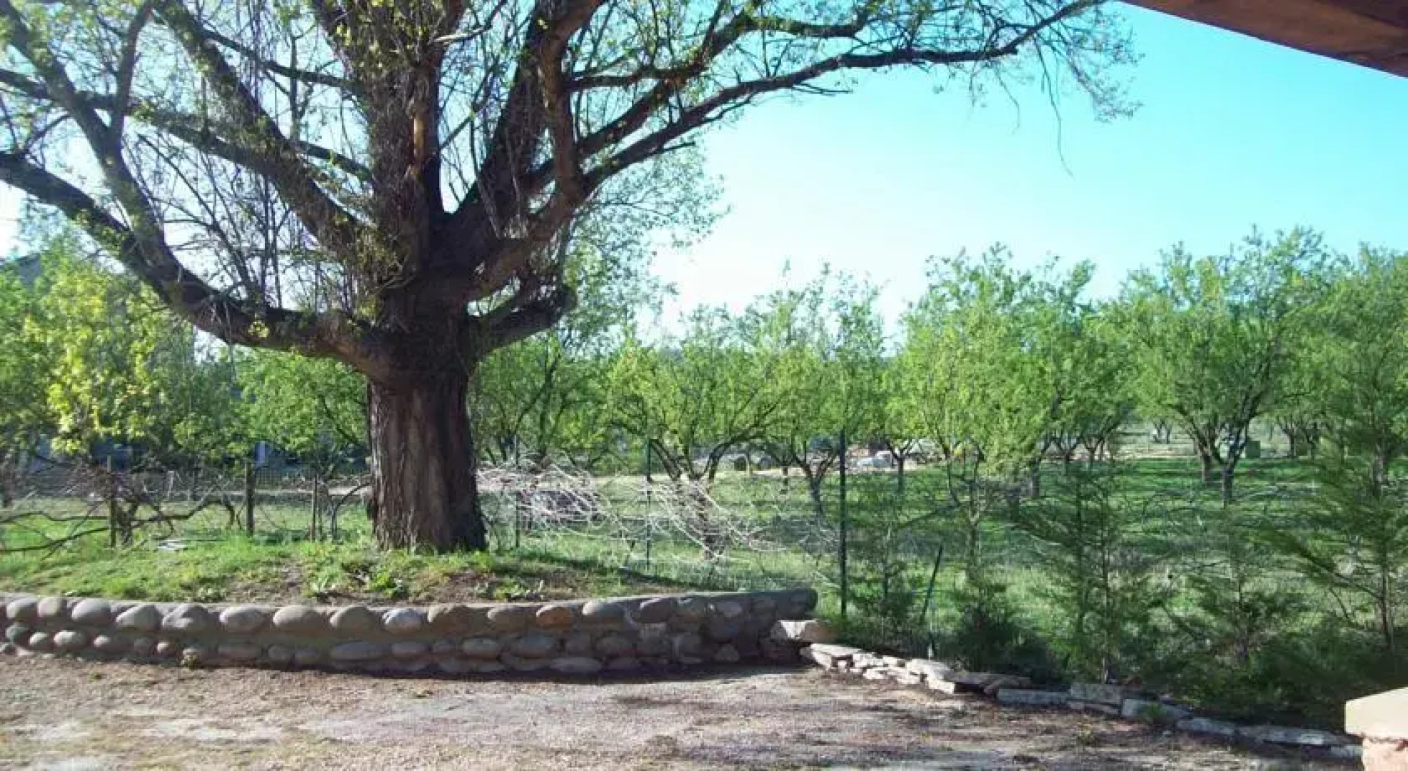 Gite Le Magnolia