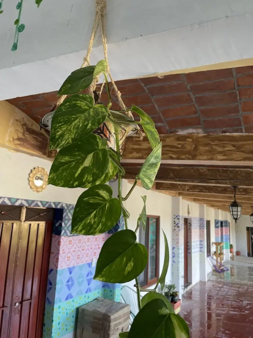 Ojo de Luna Teotitlan