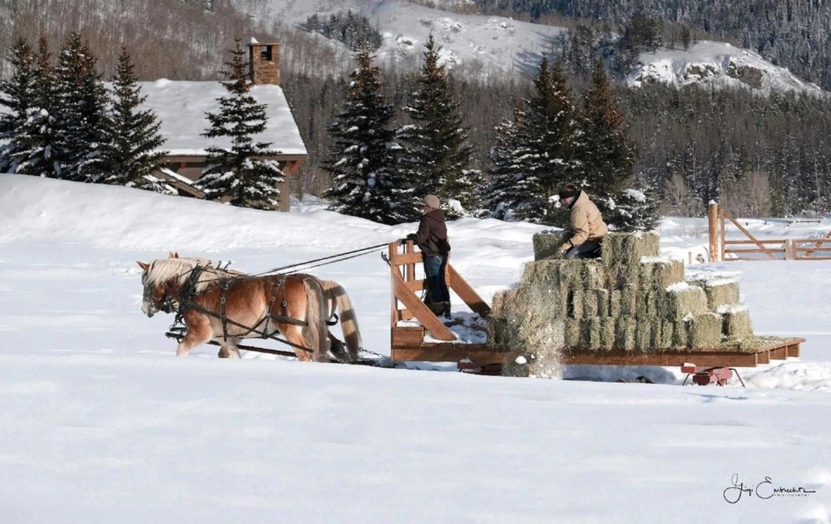 Vista Verde Ranch All-inclusive - Lodge Room