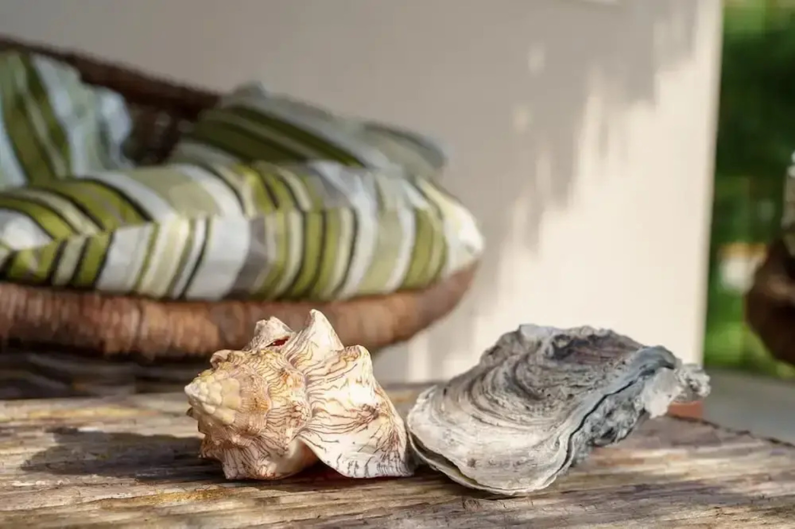 Room 8 Dakhla Premium