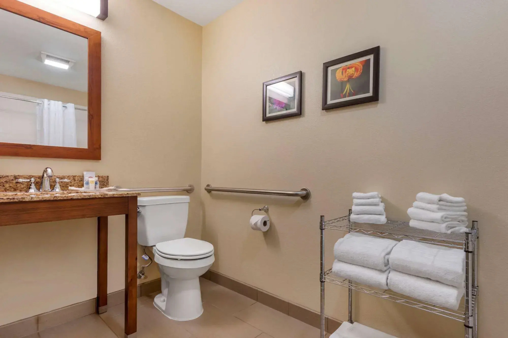 Comfort Suites Boone - University Area