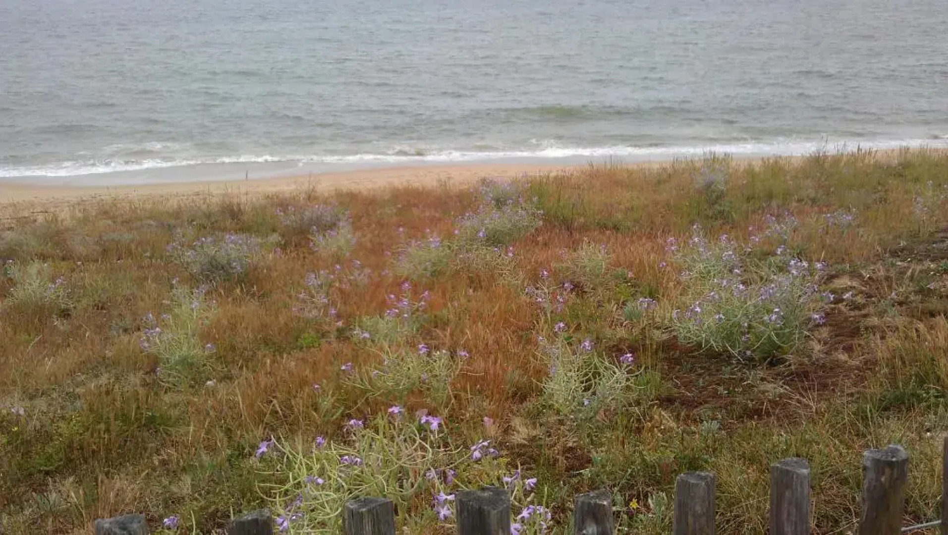 Résidence le plaisance