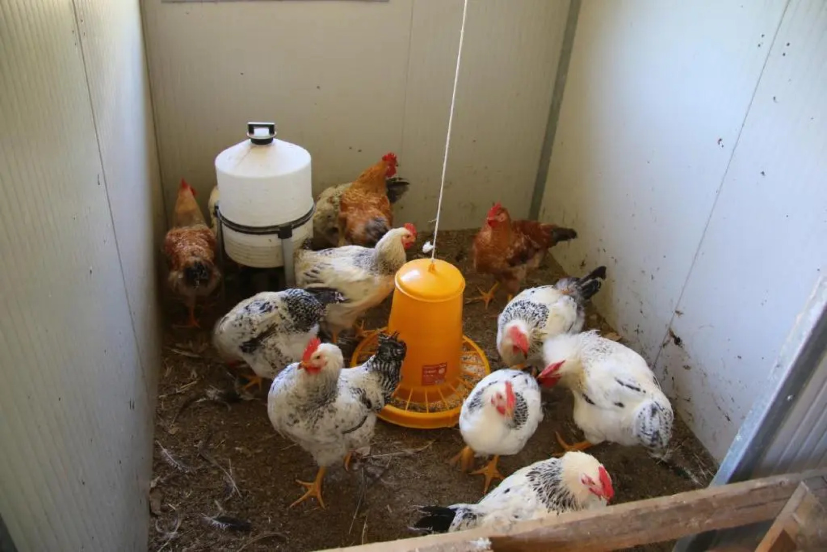 Podere Il Sorriso Degli Angeli