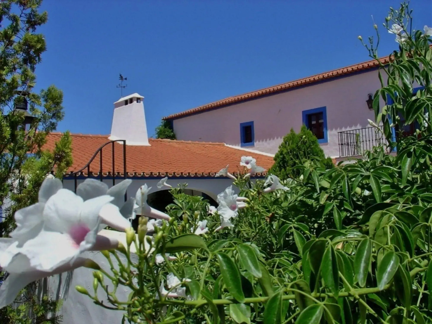 Monte Alerta Turismo Rural