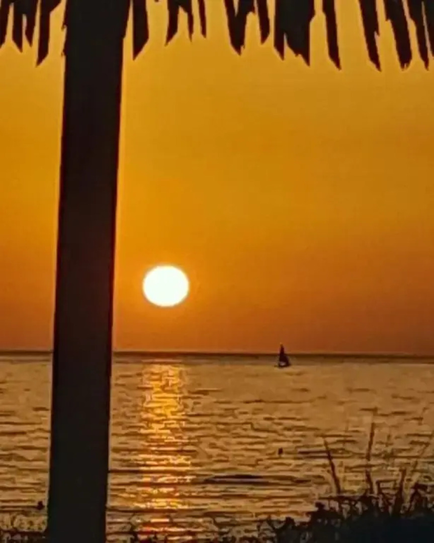 La Dama Bianca Bovo Marina