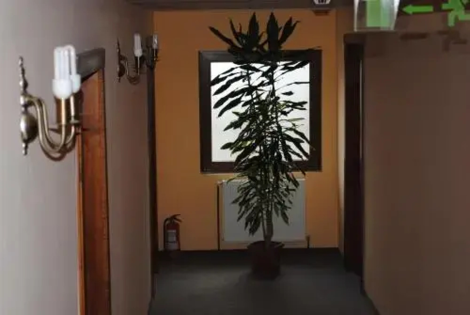 Juliu's Panzio Csikszereda