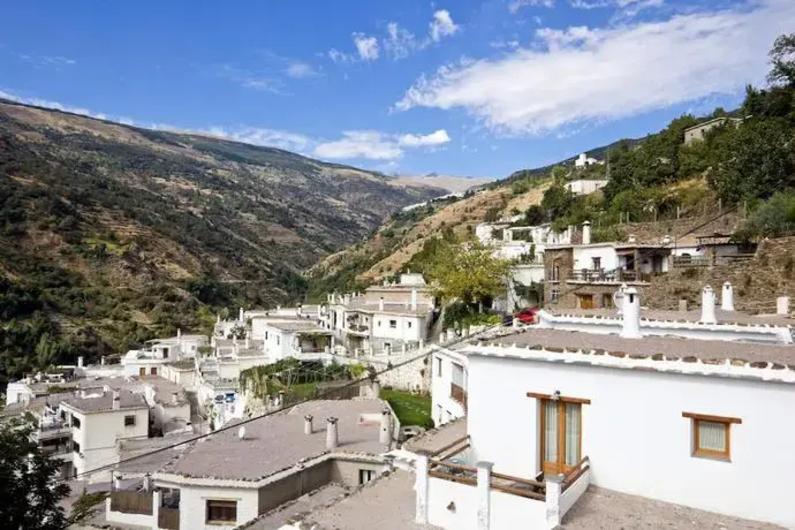 Estrella de las Nieves