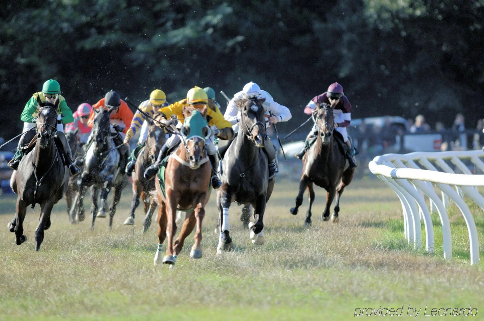 Fairfield Inn & Suites by Marriott Aiken