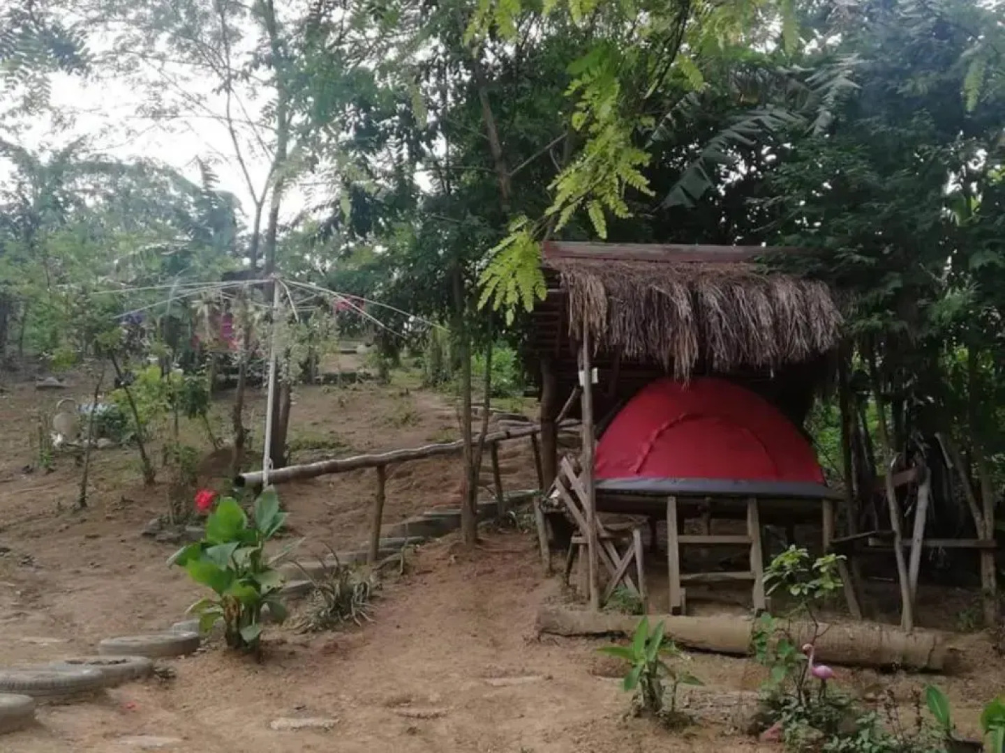 Singalong Nature Campsite Hill