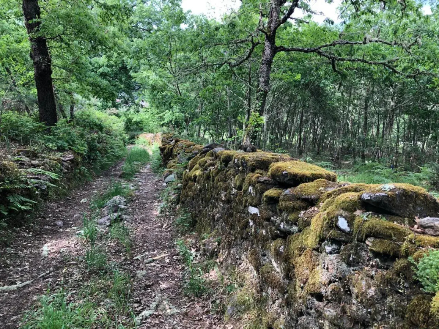 Pensión Blanco Conde