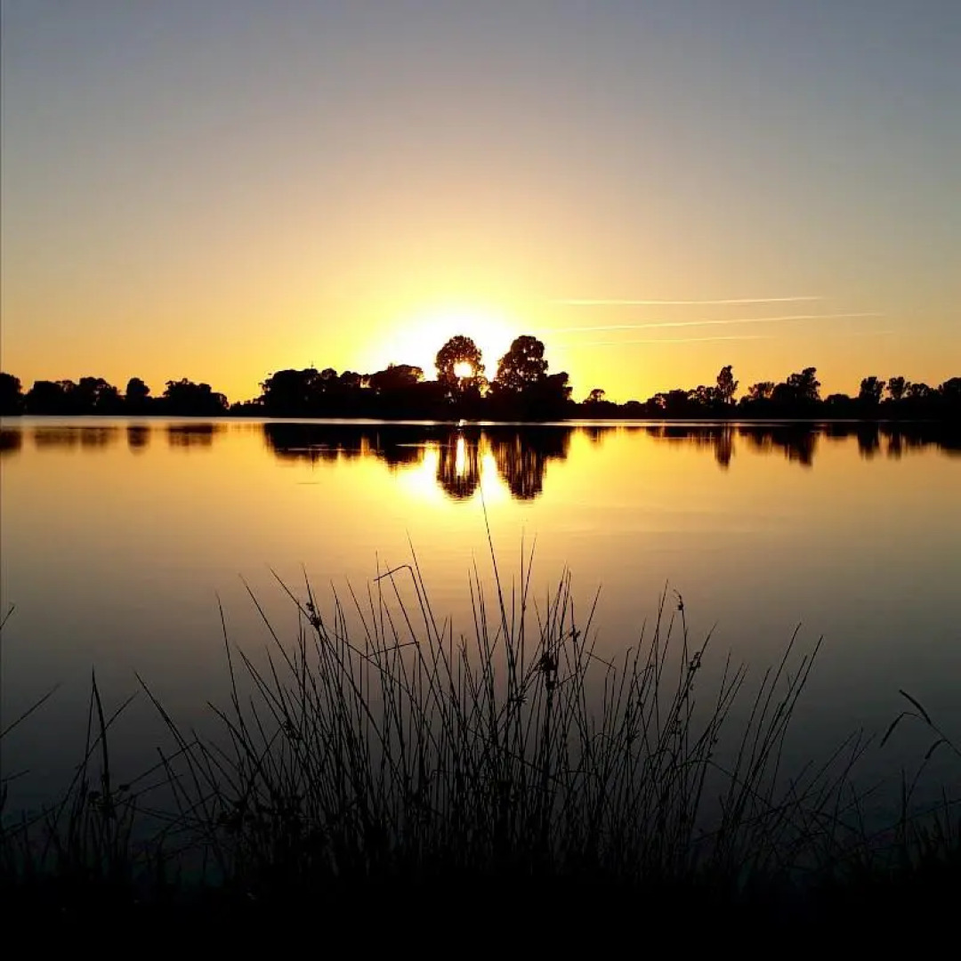 Albion Hotel-Motel Finley