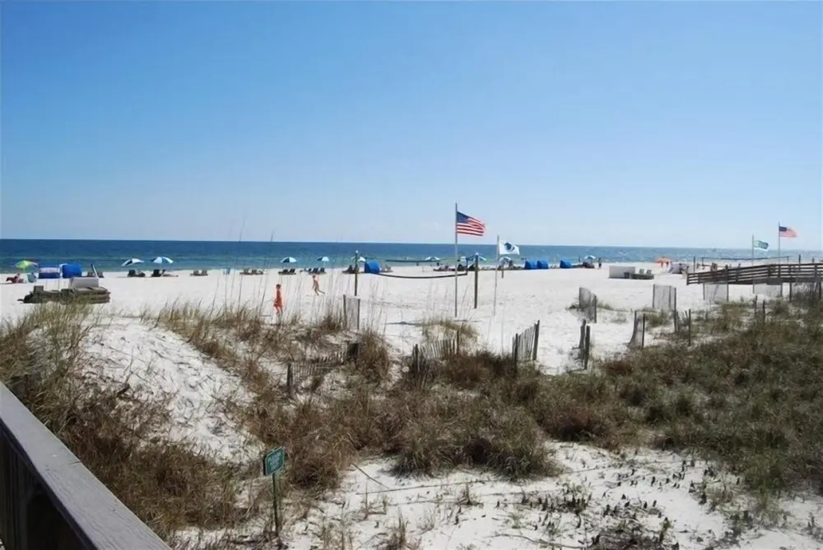 ShoalWater 1103 by RedAwning