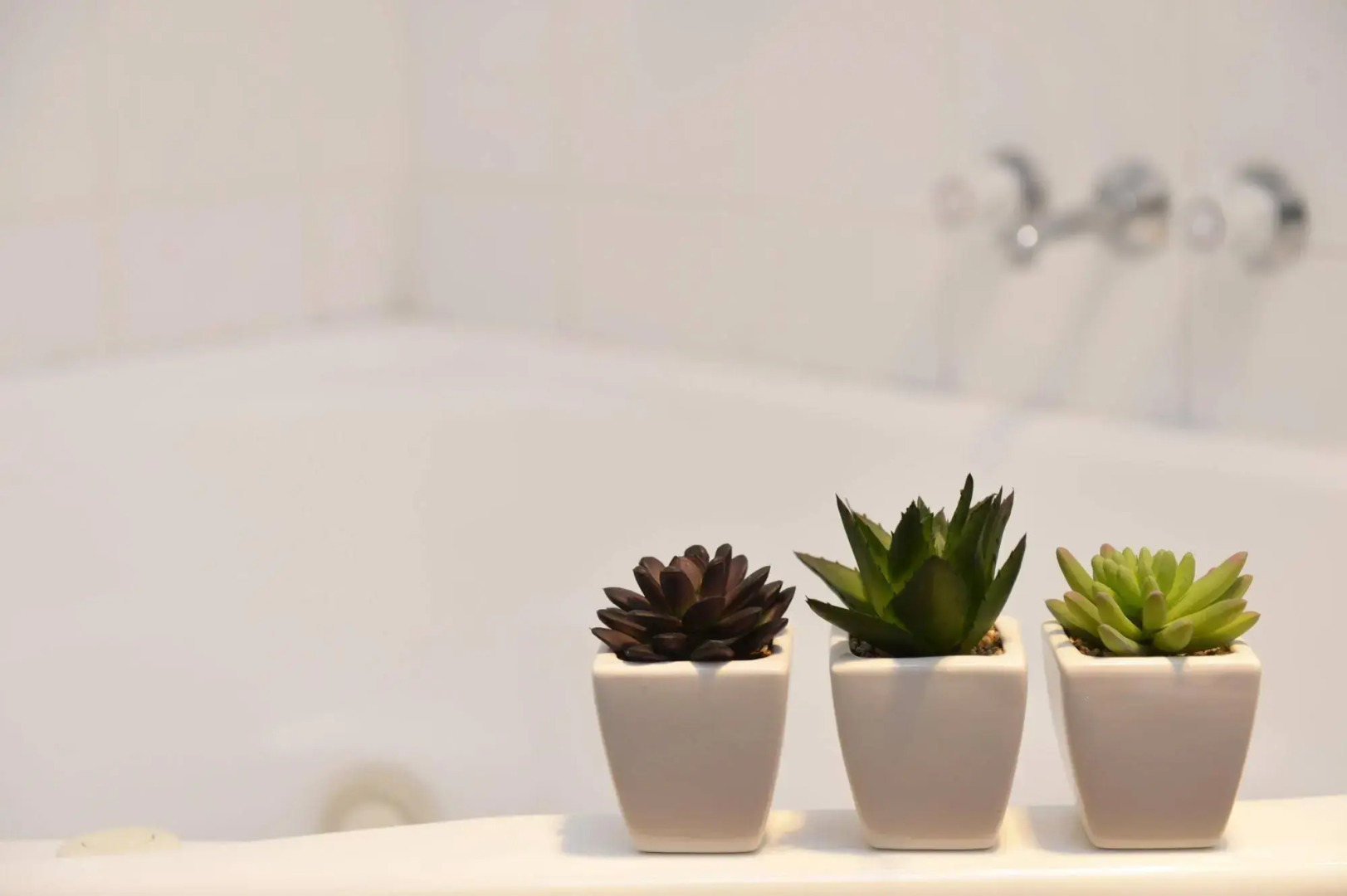 Riverside Cabin Park