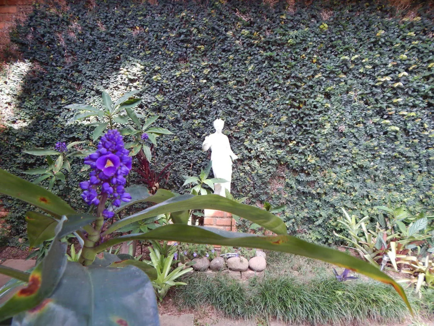 Pousada Quinta dos Pássaros