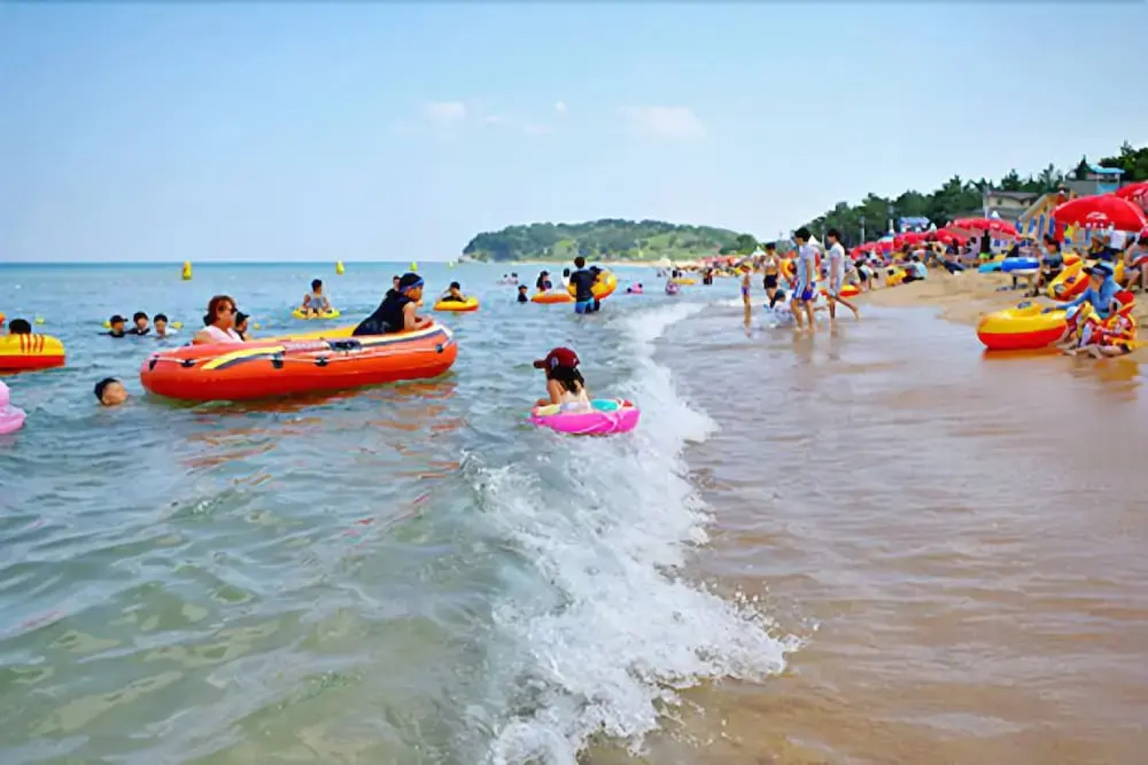 Naeip clover pension