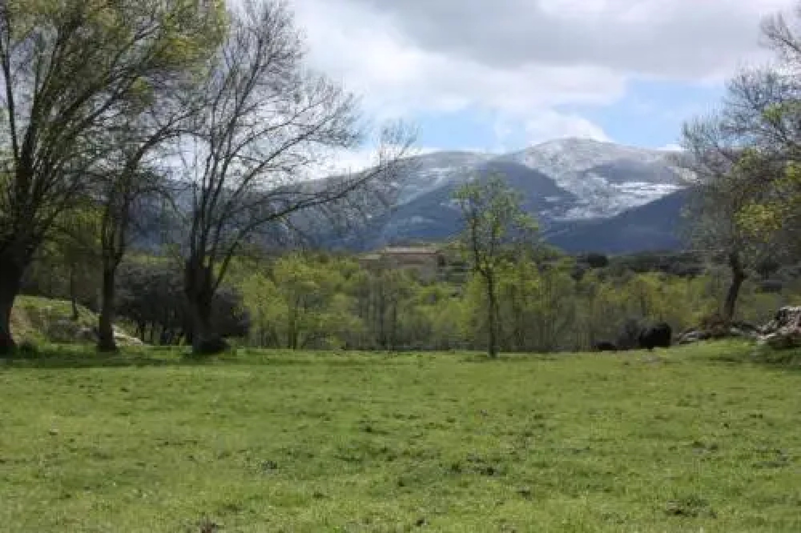 Las Casas del Palomar I & II