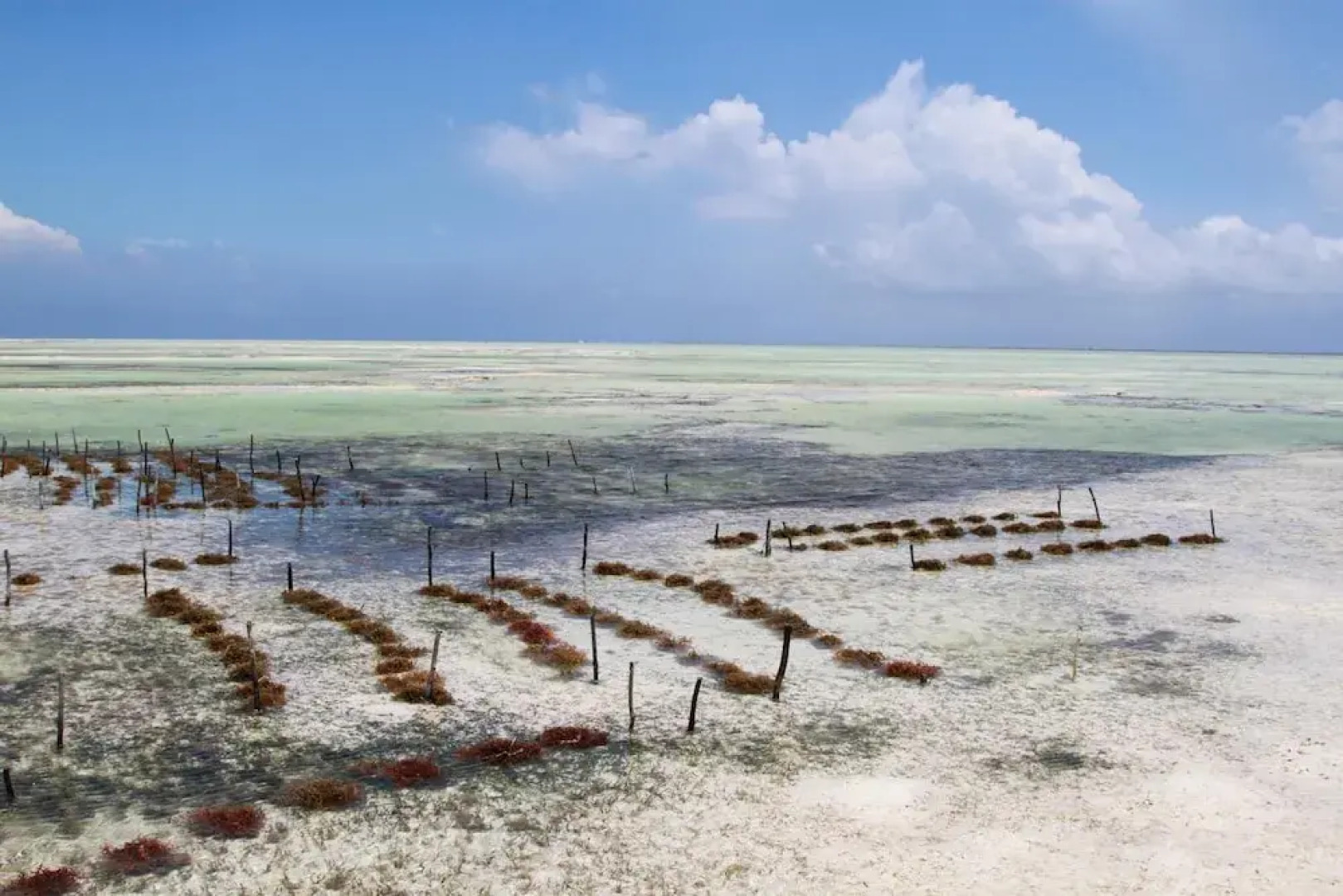 Ujamaa Beach Resort Zanzibar