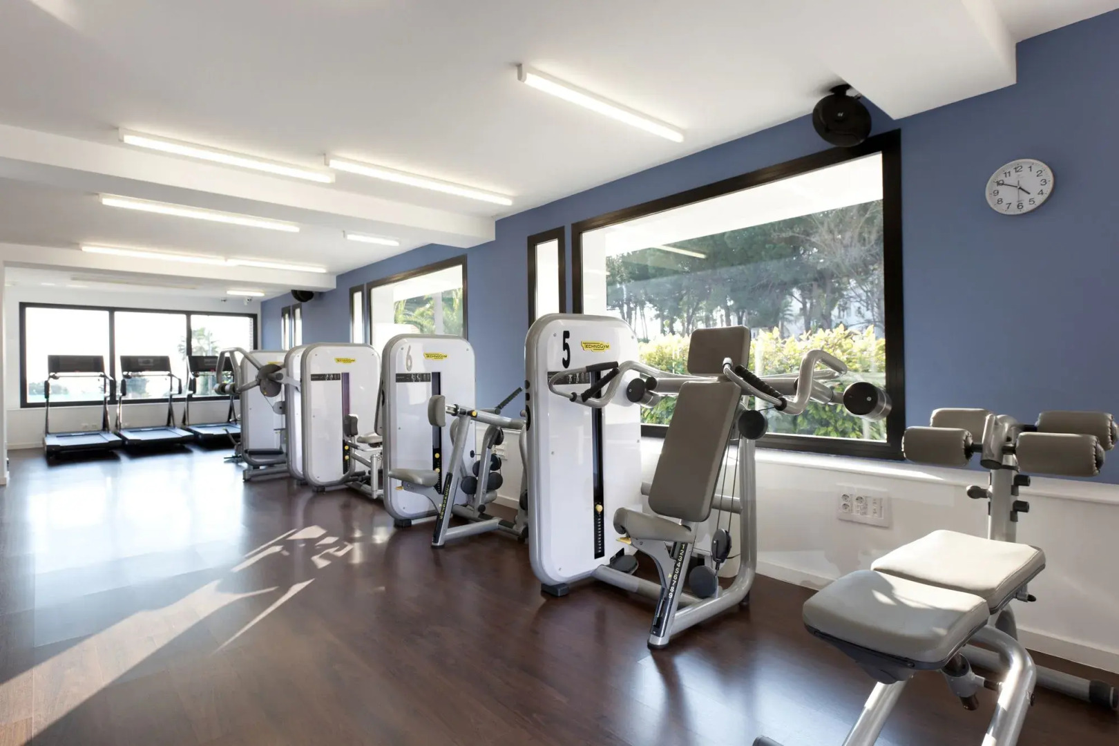 The Oasis by Don Carlos Resort