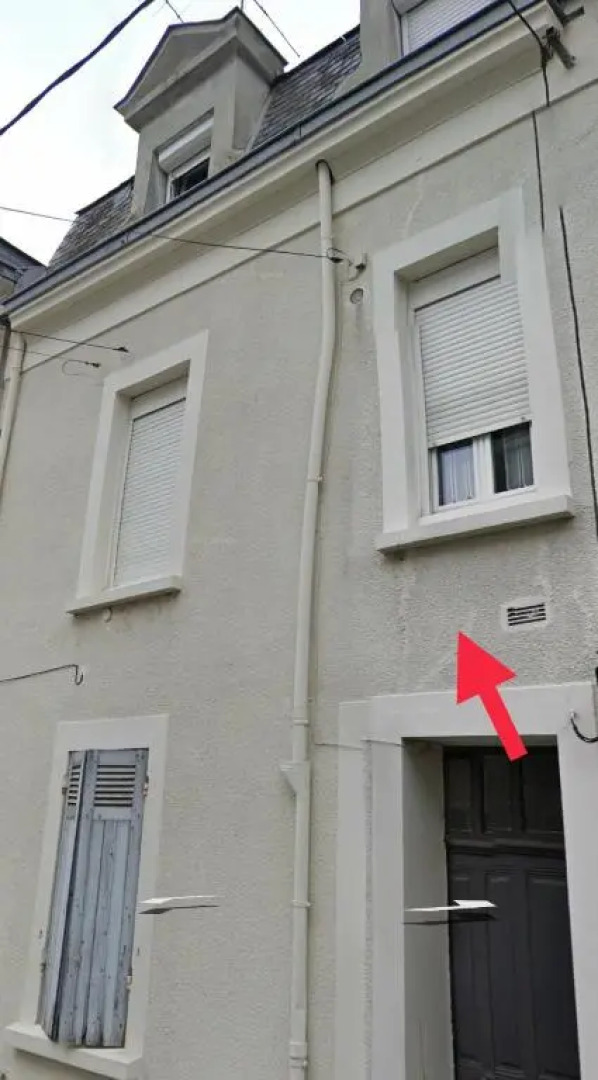 T2 Angers Jardin des plantes