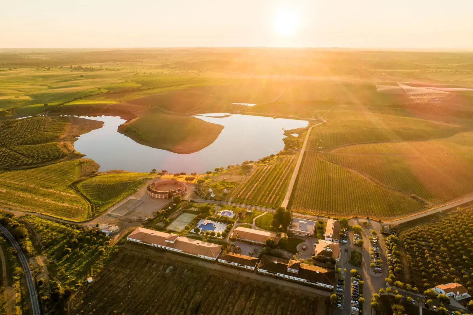 Vila Gale Alentejo Vineyards Hotel - Clube de Campo