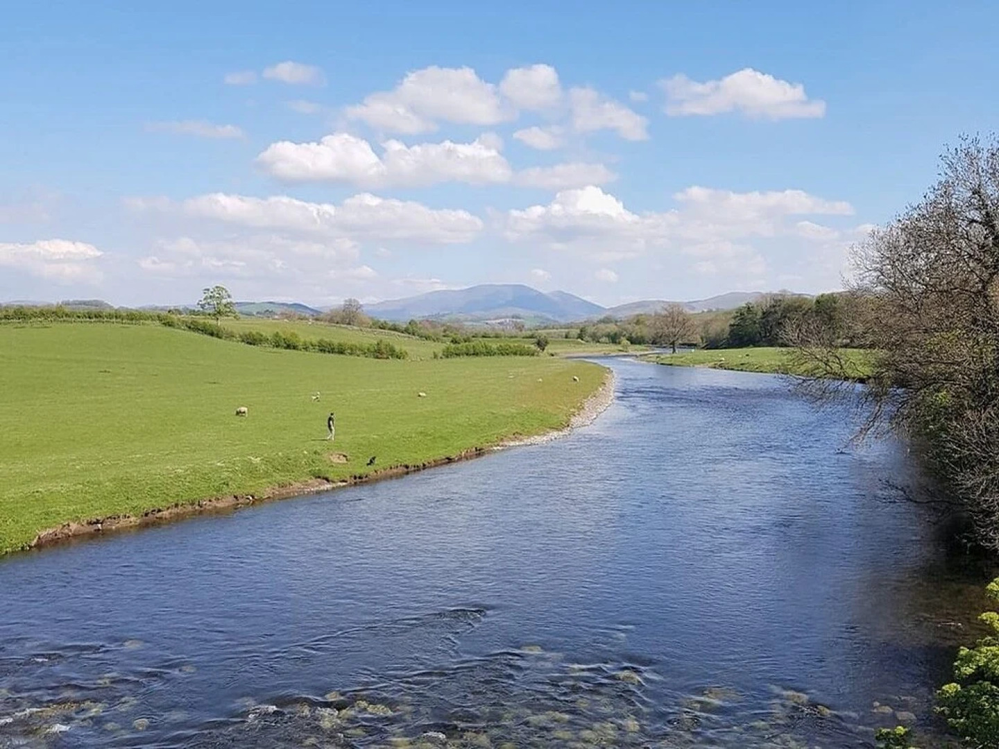 Workington House Bed and Breakfast