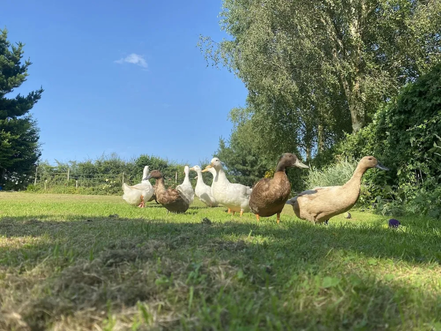 A Serene and Tranquil Escape for two