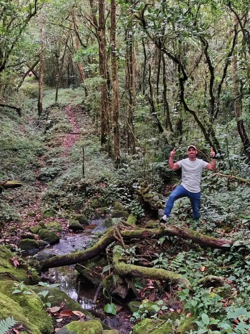 Chalets Vistas del Poas