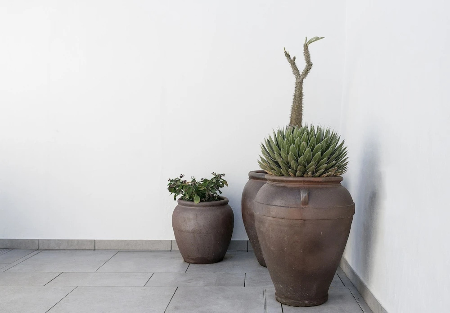 Lightbooking - Edem III