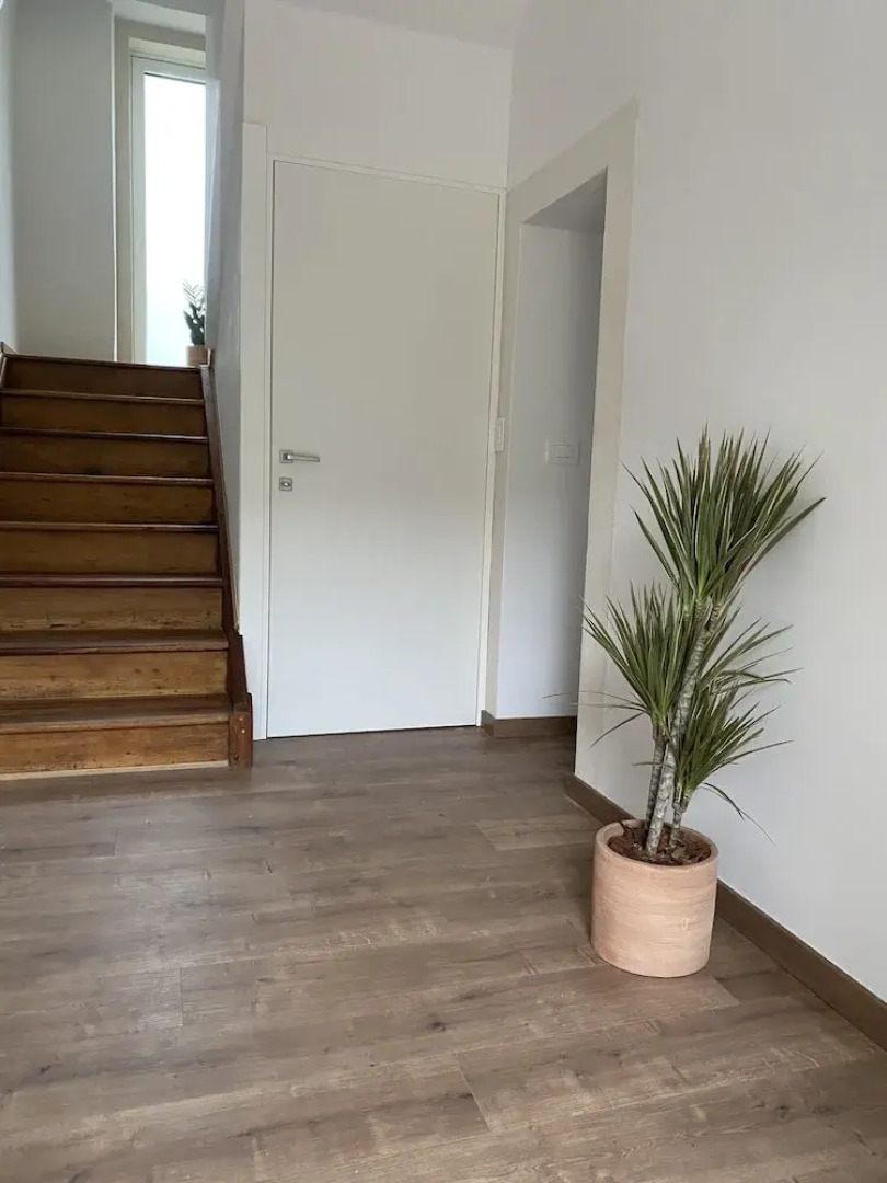 Vera Park & Wellness