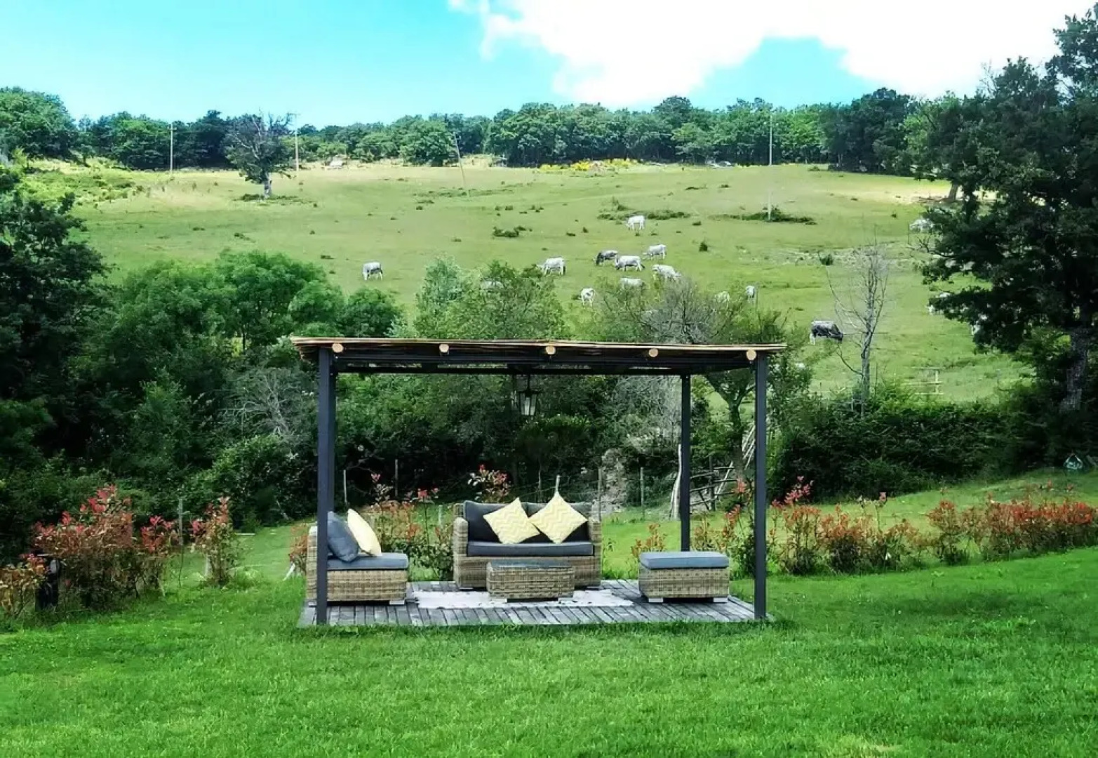 Terre di GIORGIO - Agriturismo Villa la Palazzetta