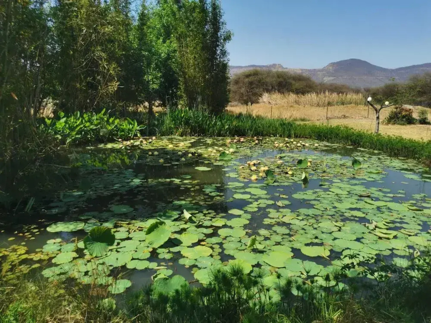 Deo Volente Country Estate