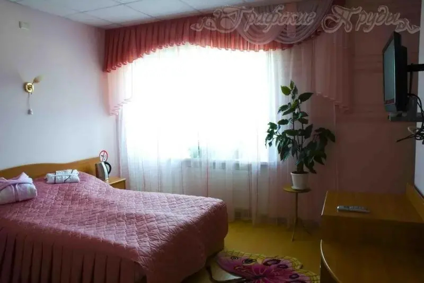 Графские пруды