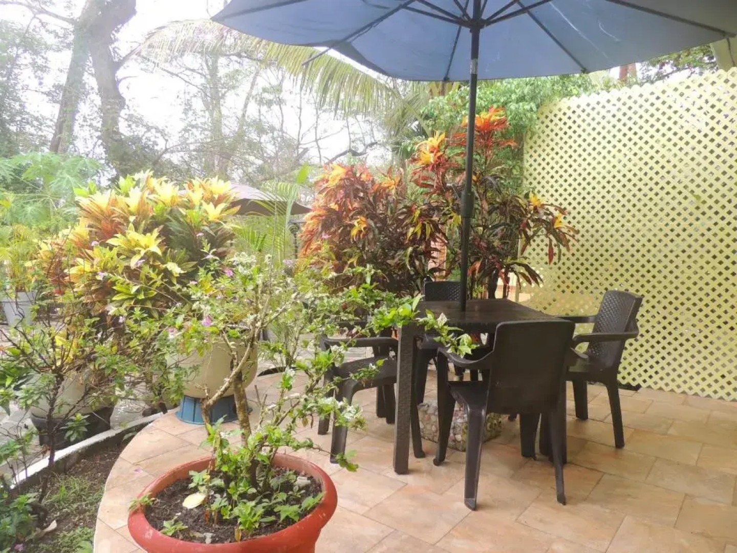 Casa del Sol Bed and Breakfast