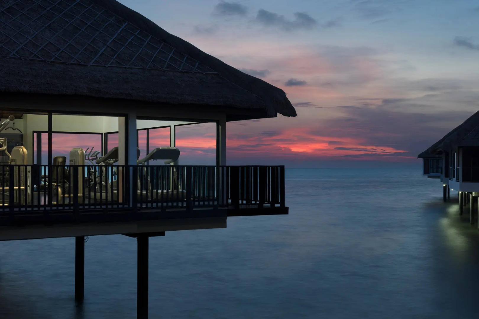 Golden Palm Tree Sepang