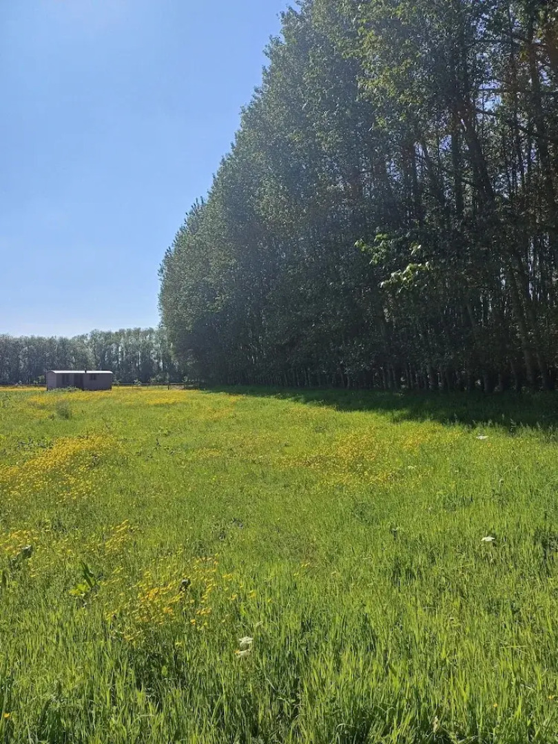 The Heartwood - Luxury Cabin Near York