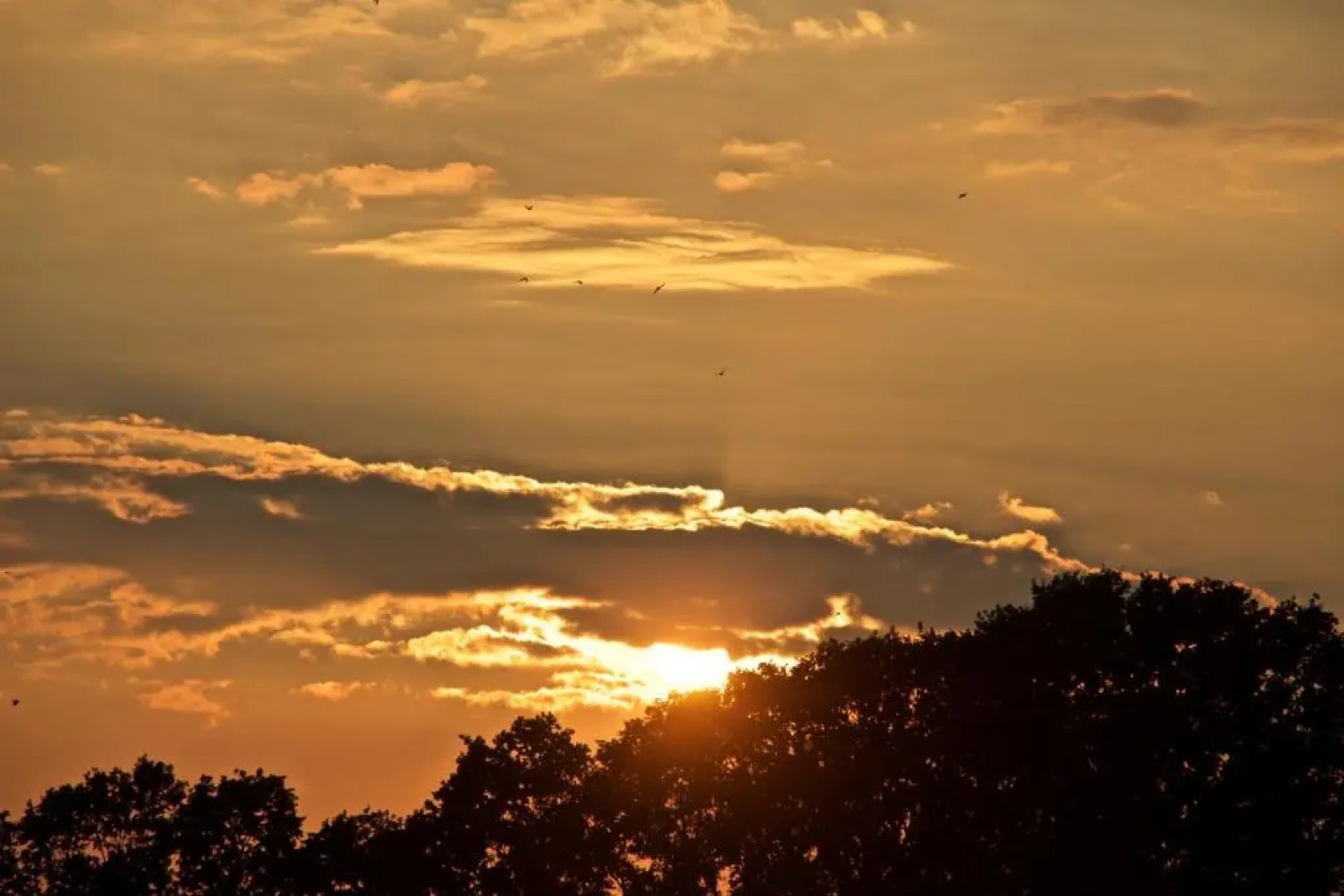 Minicamping de Lindehoef