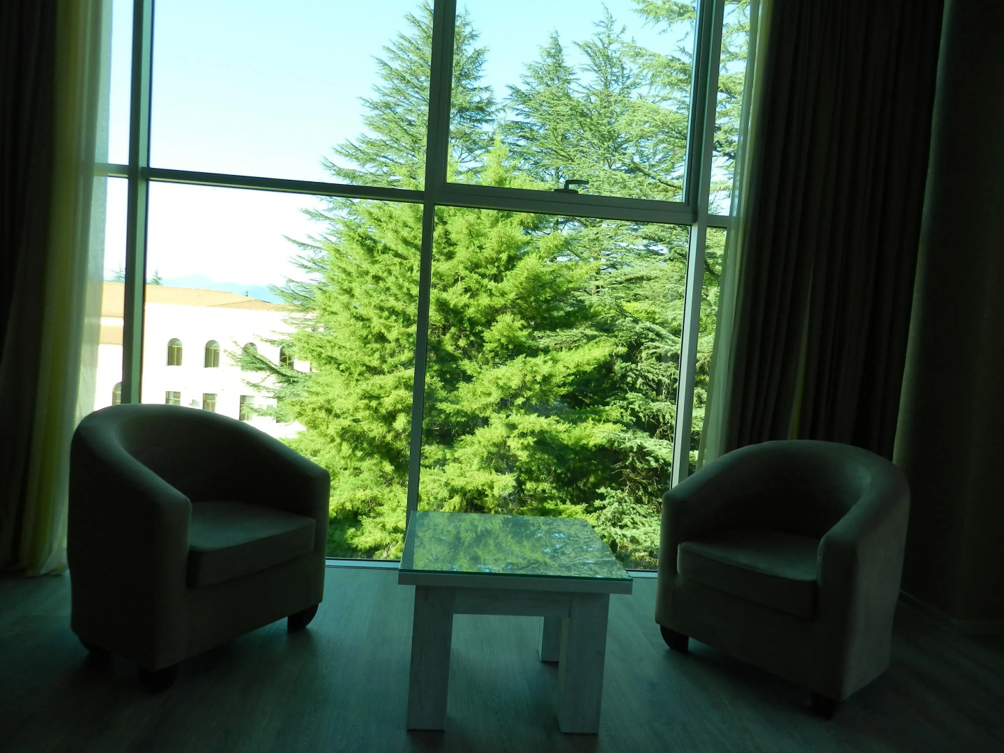 Курорт «Мартвили»