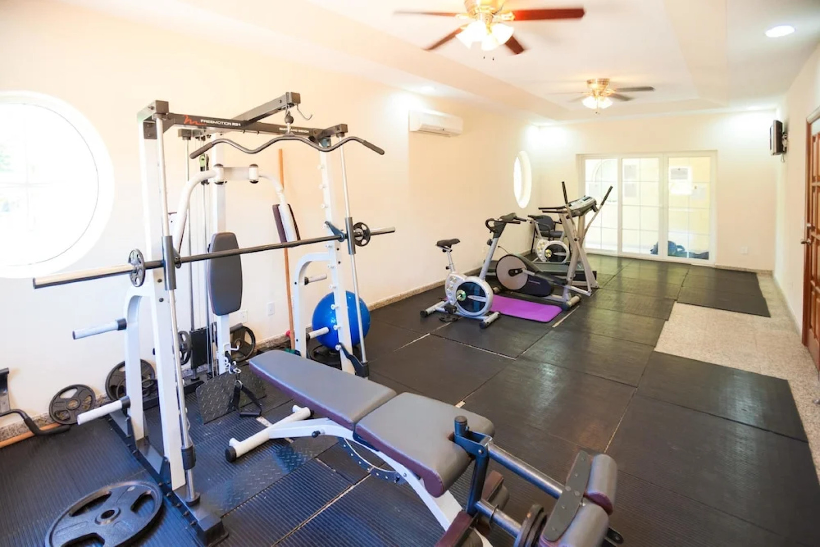 Lawson Rock Seahorse 104