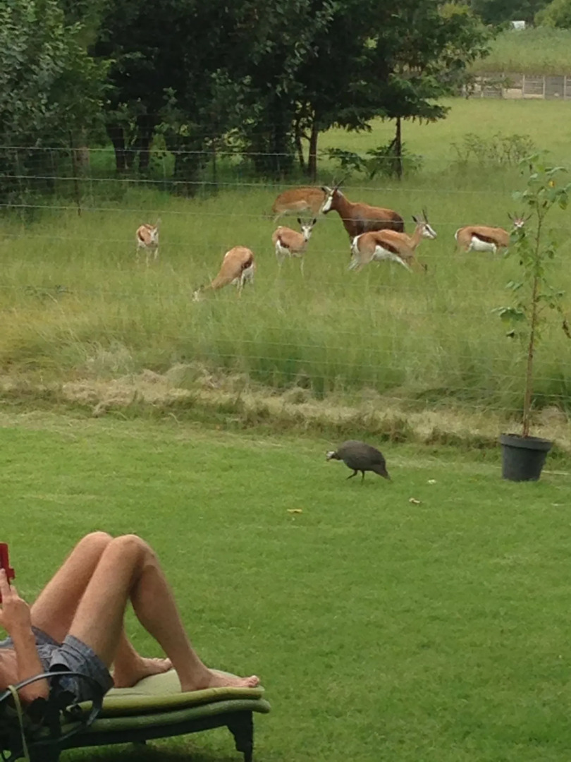 Airport Bird & Game Lodge