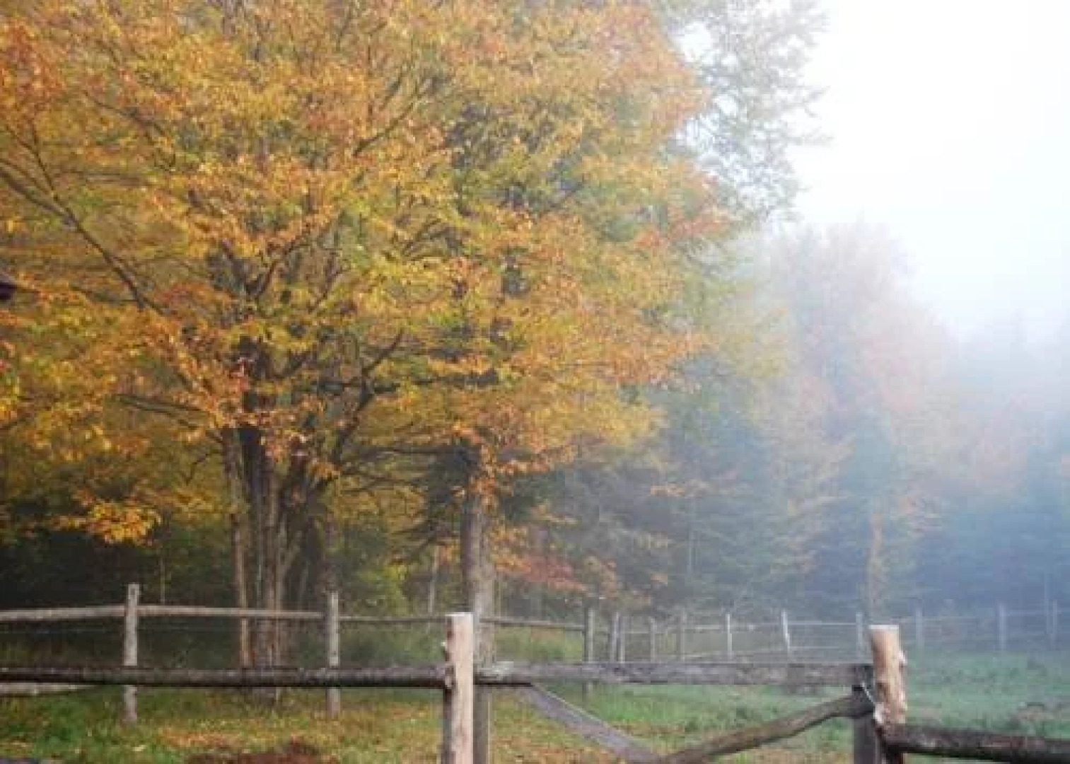 L'Hostellerie Du Lac Noir