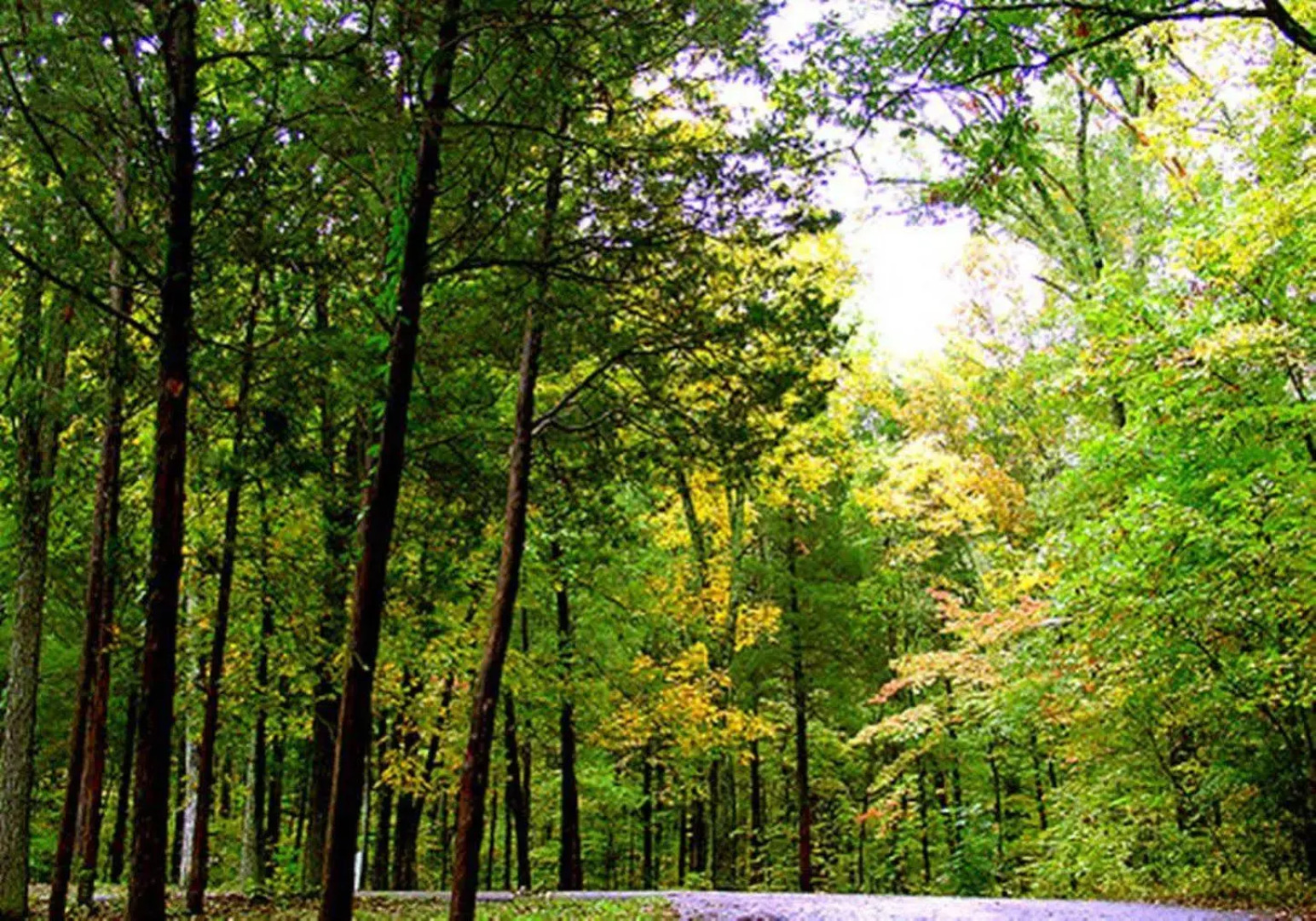 Hampton Inn & Suites Lebanon