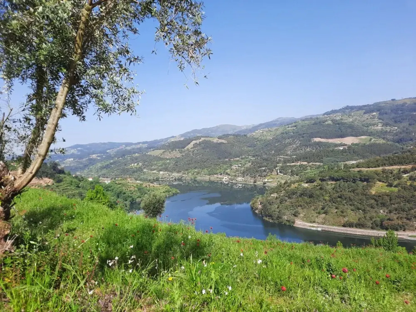 Quinta D'Joanes Douro