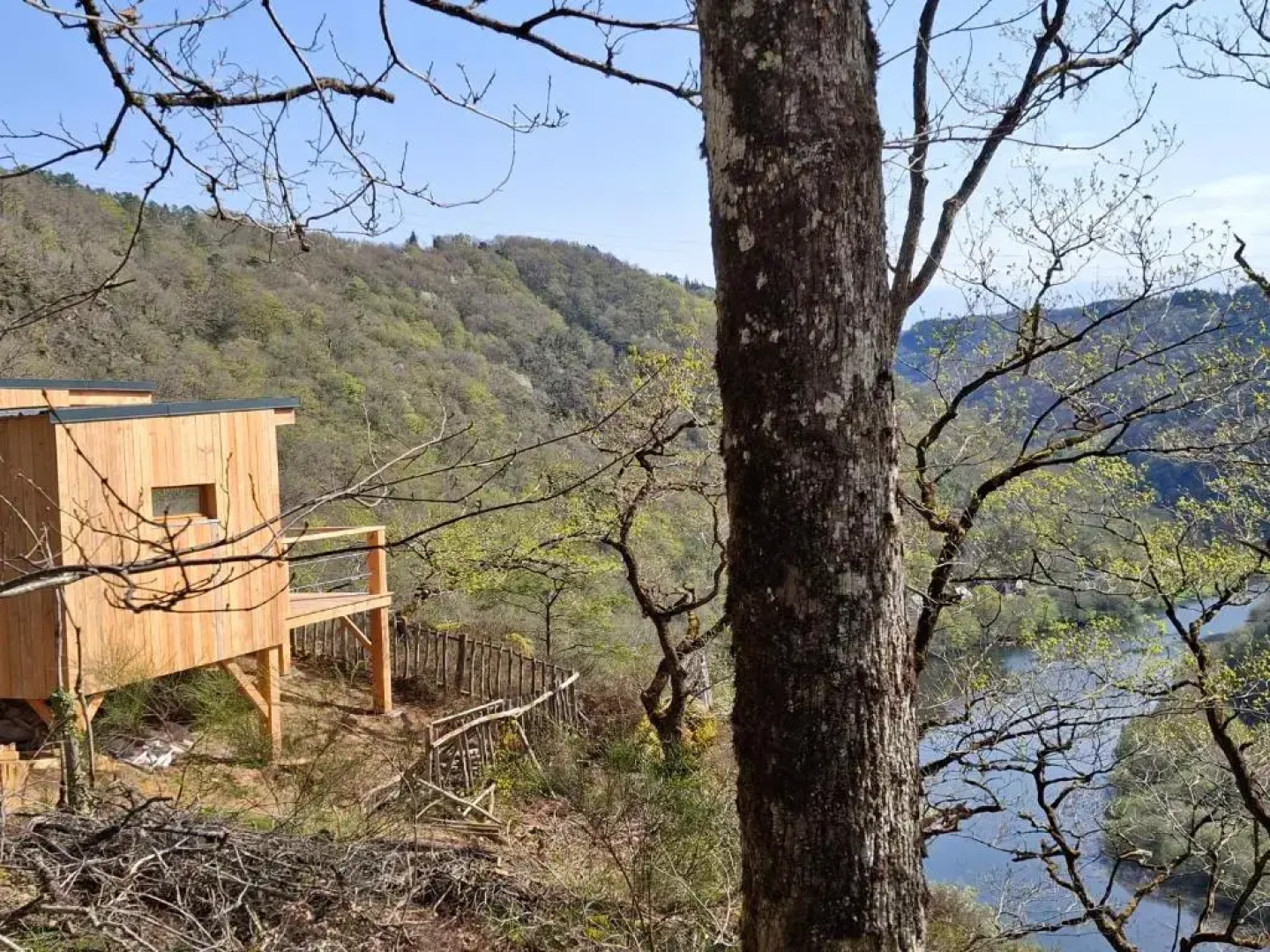 Hetre Sous Le Charme