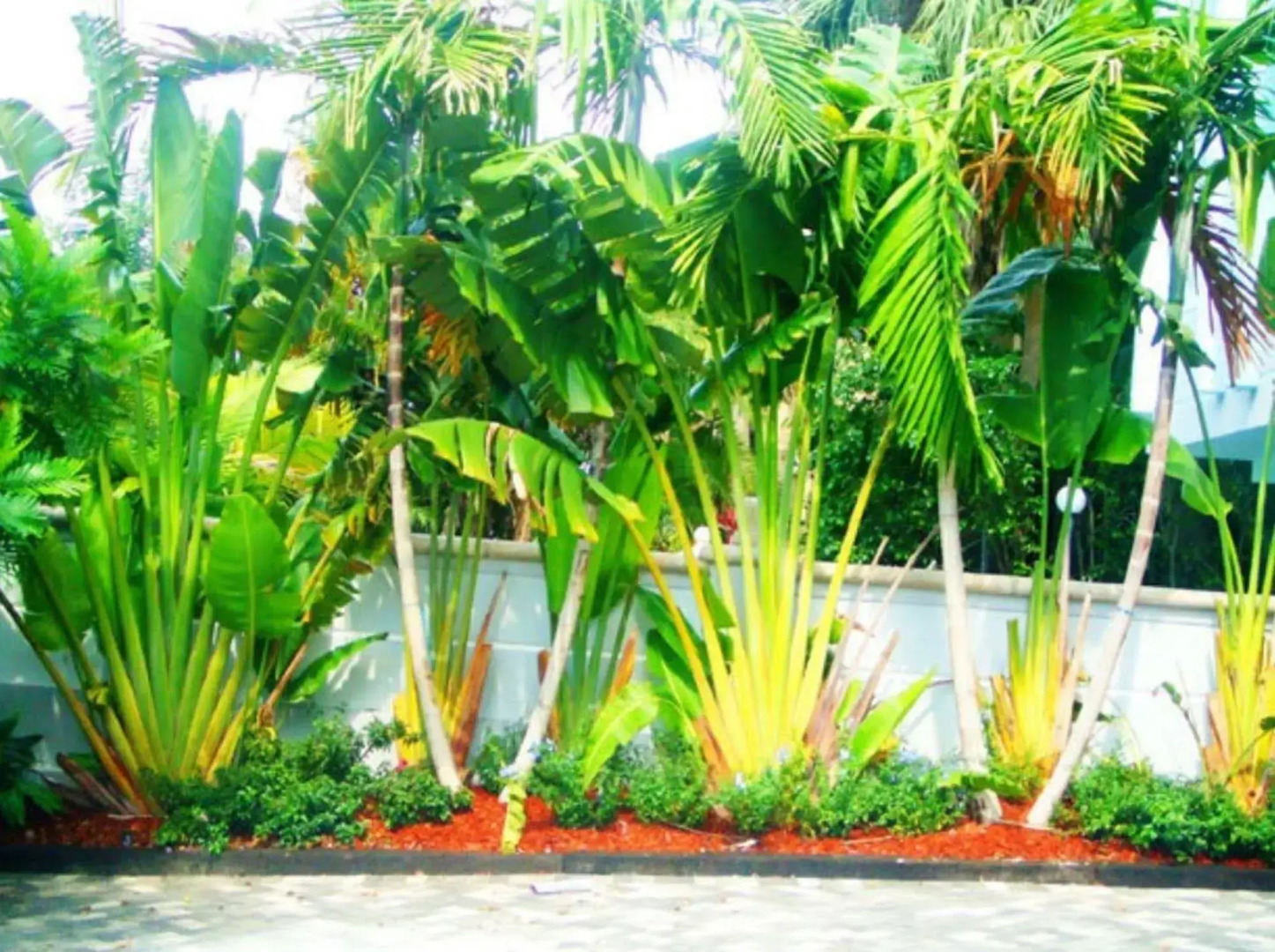 The Lofts on the Park Boutique Residences Miami