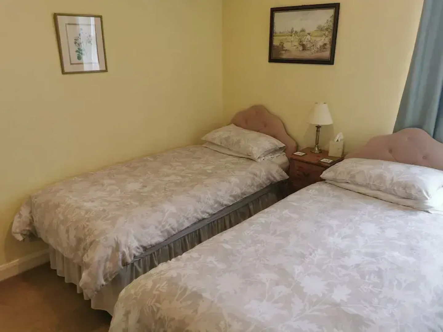 Black Swan Guest House