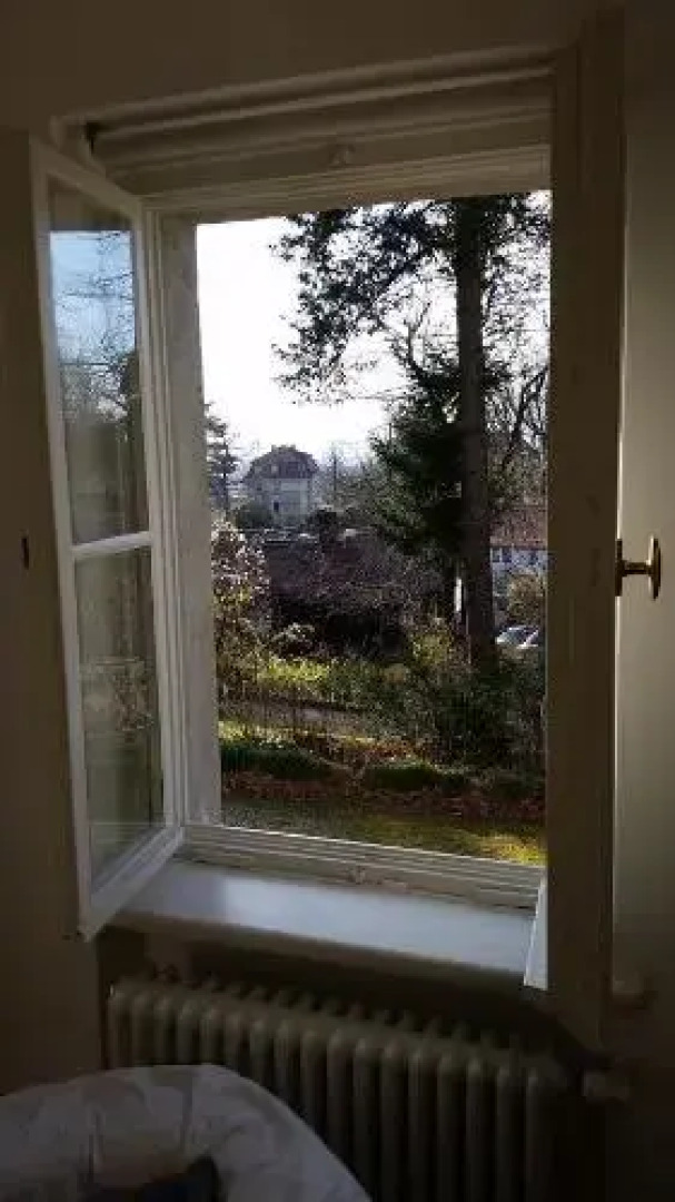 Villa im Park Wachwitzgrund