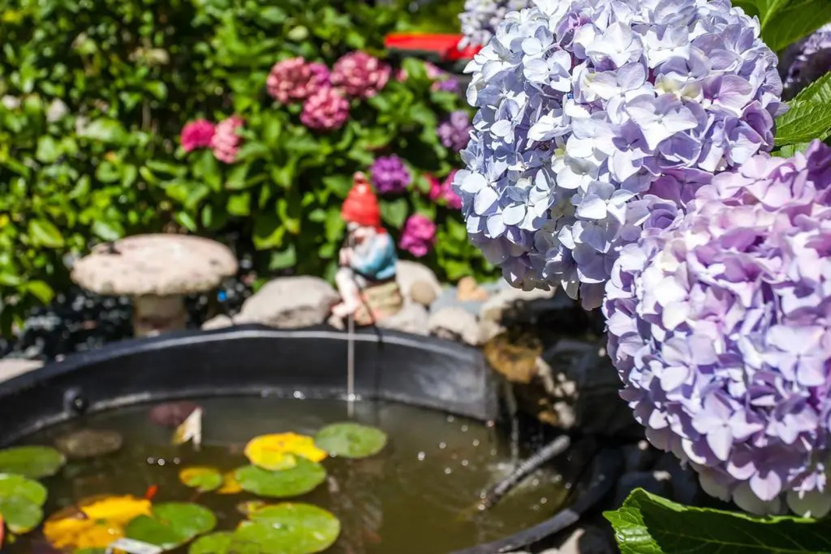 Amber Court Motel Whakatane