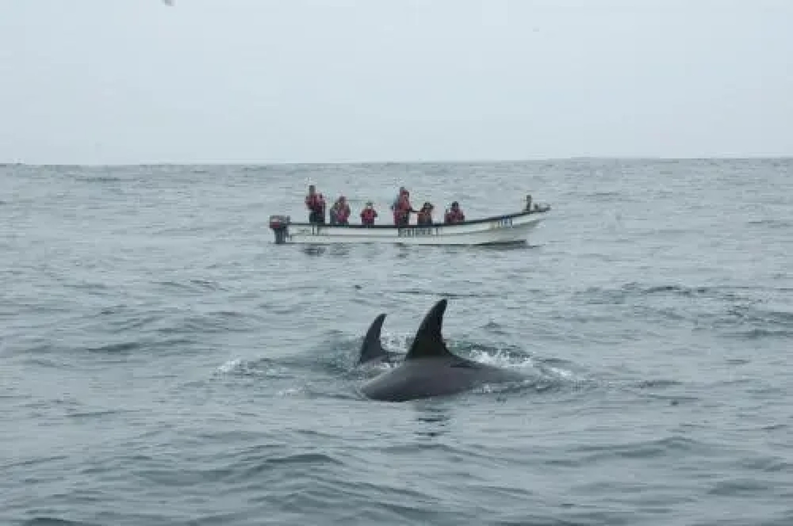 Apartment La Serena Bustamante 3559