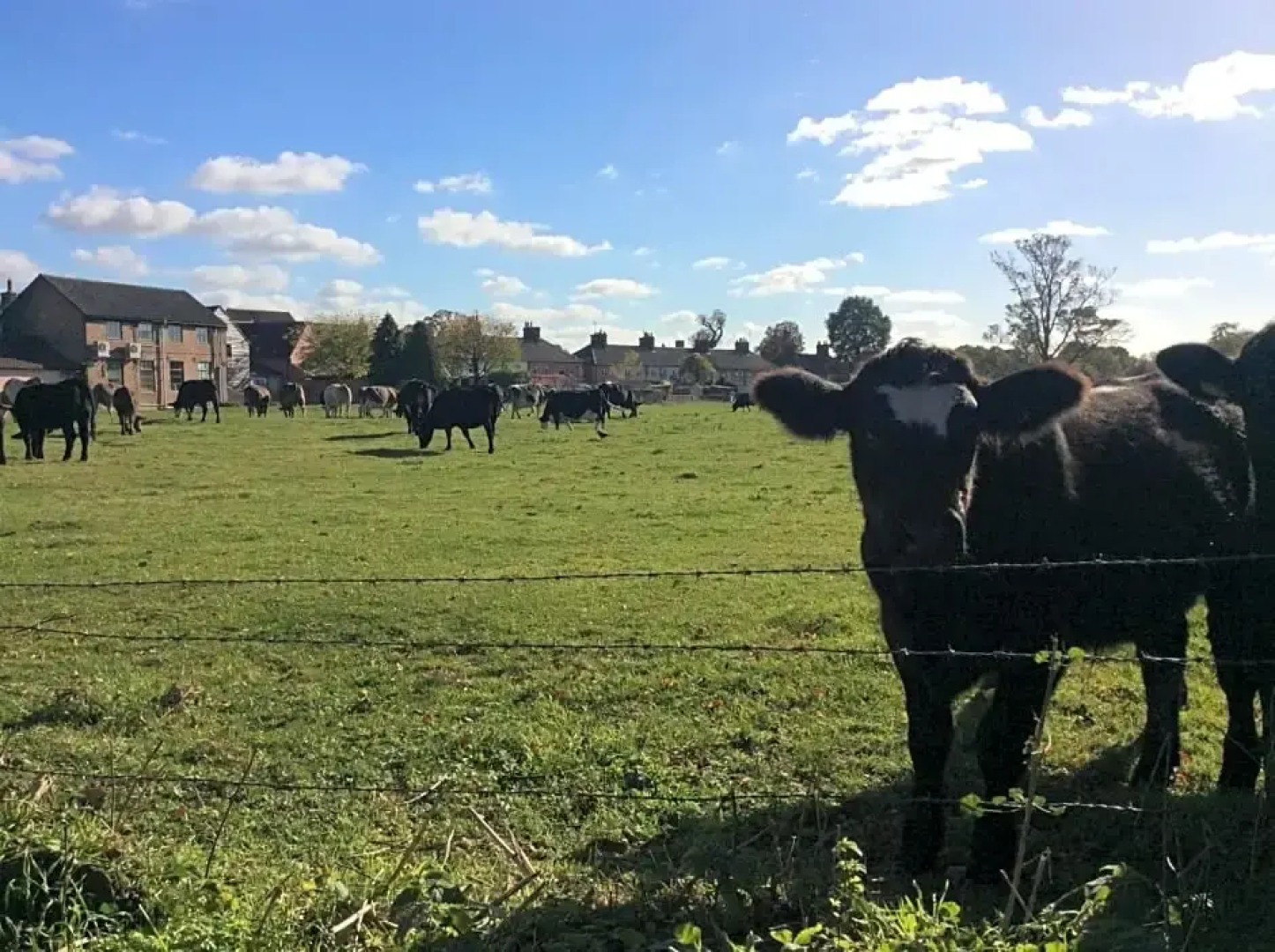 St.Catherine`s Cottage, The Old School House