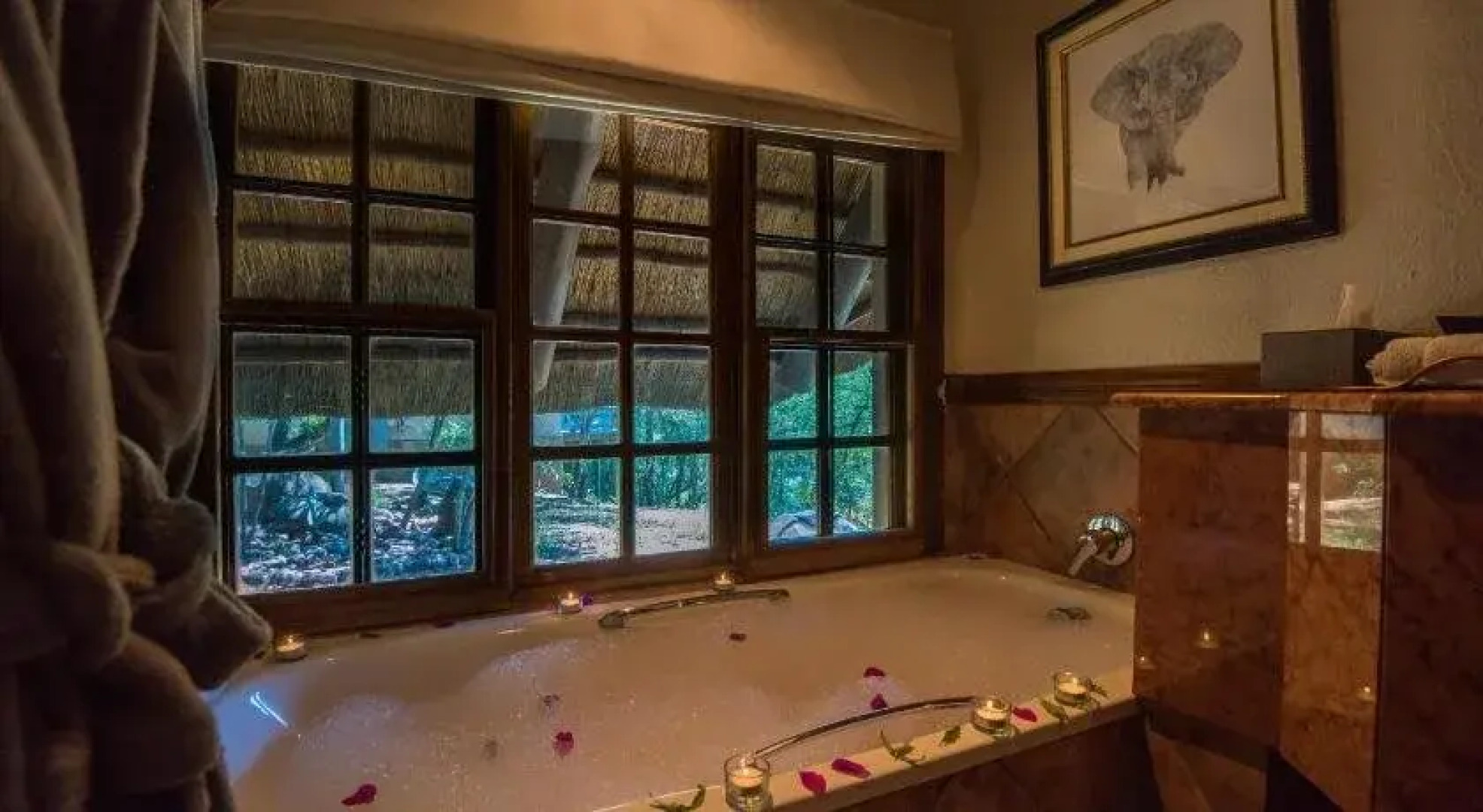 Thornybush Waterside Lodge